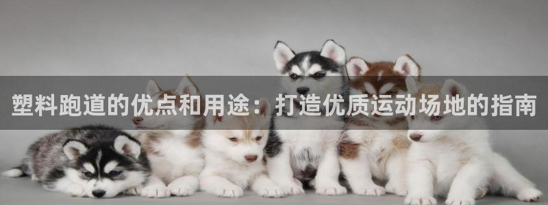 红足1一世 2站：塑料跑道的优点和用途：打造优质运动场地的指南