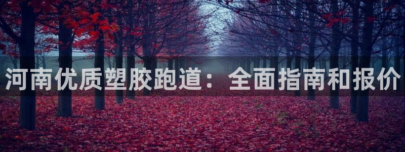 红足体育网：河南优质塑胶跑道：全面指南和报价