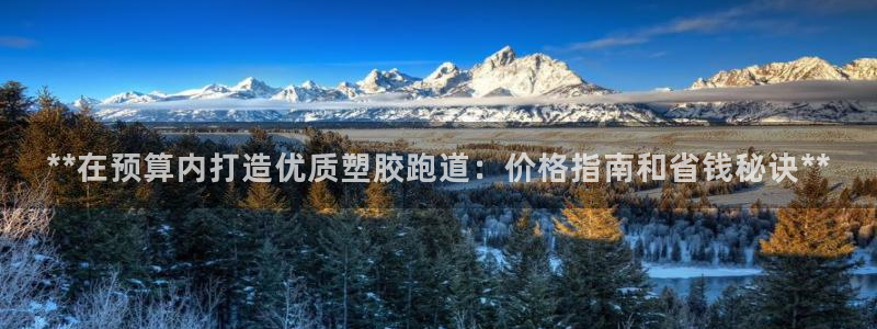 红足一1世即时比分：**在预算内打造优质塑胶跑道：价格指南和省钱秘诀**