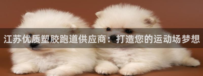 红足i世足球手机网：江苏优质塑胶跑道供应商：打造您的运动场梦想