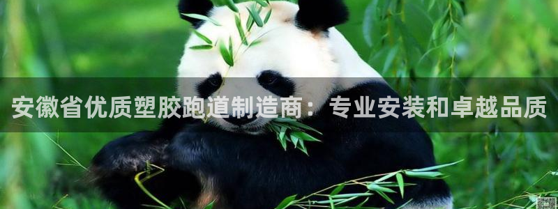 红足足球网：安徽省优质塑胶跑道制造商：专业安装和卓越品质