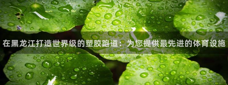 红足一1世：在黑龙江打造世界级的塑胶跑道：为您提供最先进的体育设施