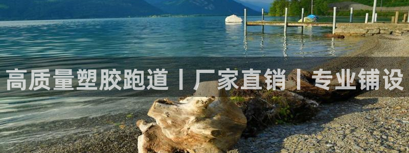 666814红·足一世比分：高质量塑胶跑道丨厂家直销丨专业铺设