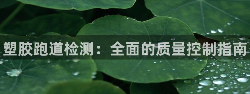 红足1世手足球比分