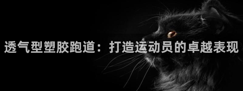 红足一1世77814：透气型塑胶跑道：打造运动员的卓越表现