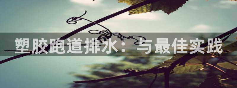 红足1世官网：塑胶跑道排水：与最佳实践