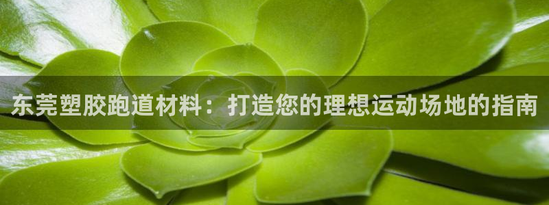 红足1世足球网址：东莞塑胶跑道材料：打造您的理想运动场地的指南