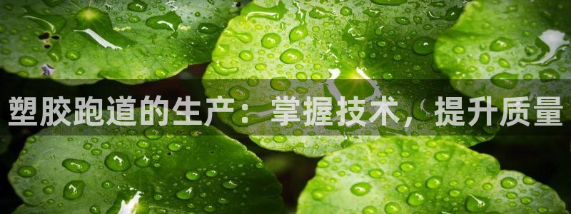 红足一1世666814足球：塑胶跑道的生产：掌握技术，提升质量