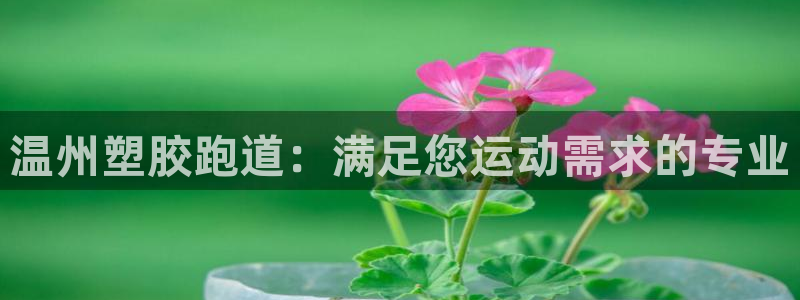 红足一球：温州塑胶跑道：满足您运动需求的专业