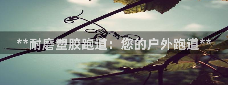 红足一1世比分：**耐磨塑胶跑道：您的户外跑道**