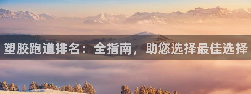百度红足一1是为什么：塑胶跑道排名：全指南，助您选择最佳选择