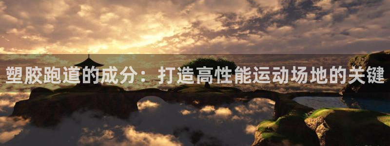 77814红足1世：塑胶跑道的成分：打造高性能运动场地的关键