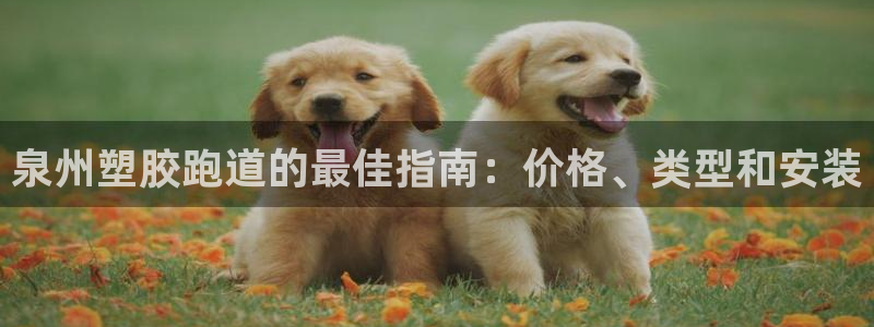 红足一1世66814新宝：泉州塑胶跑道的最佳指南：价格、类型和安装