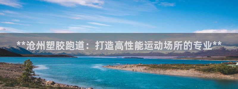 百度红足一1使用说明：**沧州塑胶跑道：打造高性能运动场所的专业**