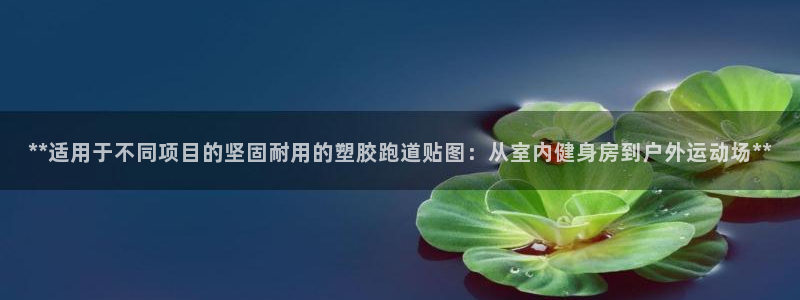 44814红足：**适用于不同项目的坚固耐用的塑胶跑道贴图：从室内健身房到户外运动场**