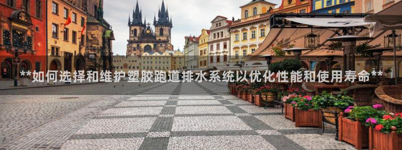 百度红足一1是为什么：**如何选择和维护塑胶跑道排水系统以优化性能和使用寿命**
