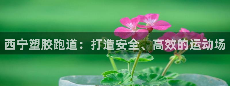 百度红足一1是什么样子的：西宁塑胶跑道：打造安全、高效的运动场