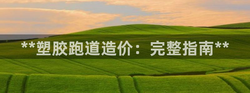 333814红足1世：**塑胶跑道造价：完整指南**