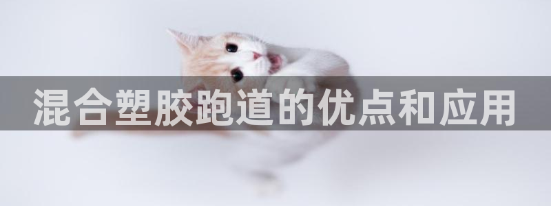 红足一1世77814：混合塑胶跑道的优点和应用