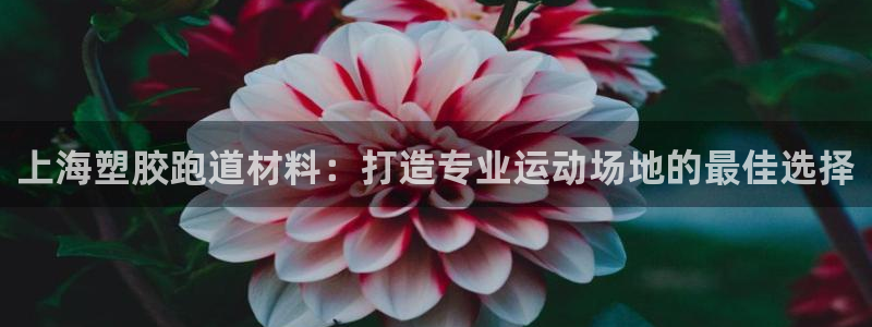 红足1世足球网址：上海塑胶跑道材料：打造专业运动场地的最佳选择