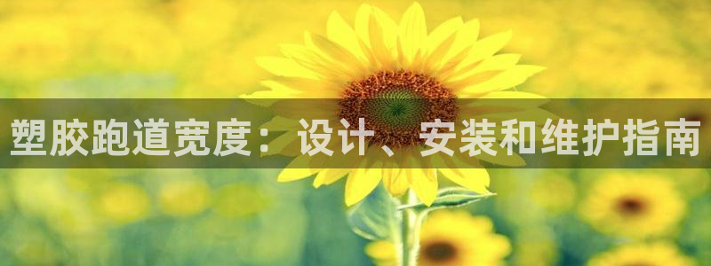 红足网足球直播：塑胶跑道宽度：设计、安装和维护指南