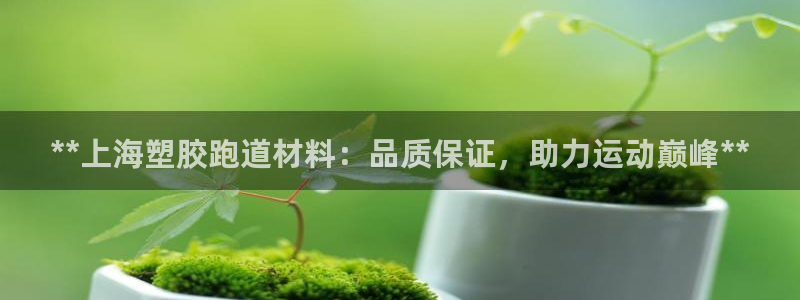 红足1世足球：**上海塑胶跑道材料：品质保证，助力运动巅峰**