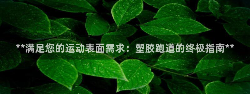红足一1世即时比分：**满足您的运动表面需求：塑胶跑道的终极指南**