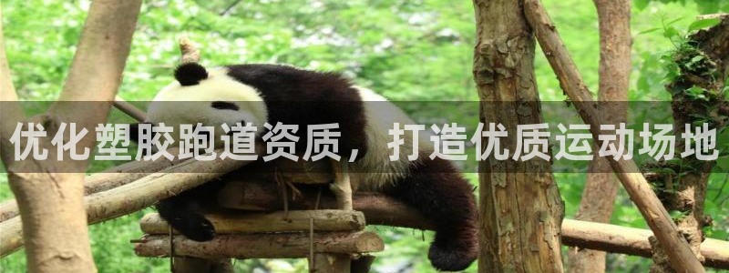 红足体育网：优化塑胶跑道资质，打造优质运动场地