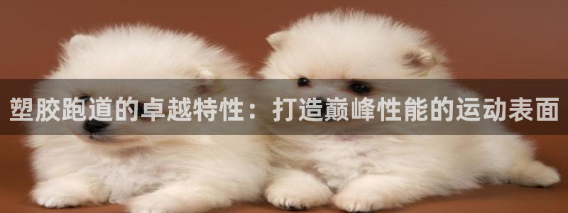 红足一1世皇冠地址