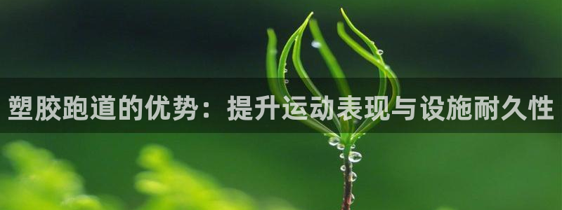 红足一1世皇冠登录：塑胶跑道的优势：提升运动表现与设施耐久性