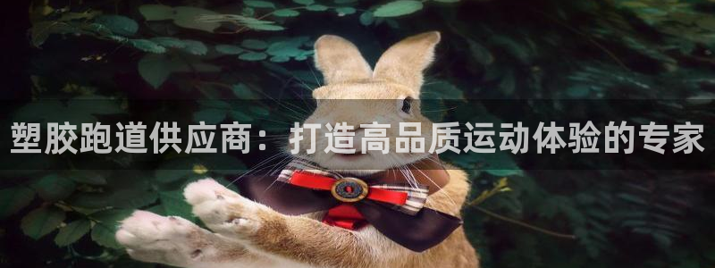 红足一球：塑胶跑道供应商：打造高品质运动体验的专家