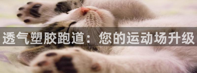 66814红足一66814世：透气塑胶跑道：您的运动场升级