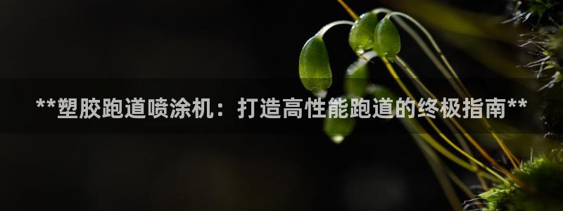 333814红足1世：**塑胶跑道喷涂机：打造高性能跑道的终极指南**