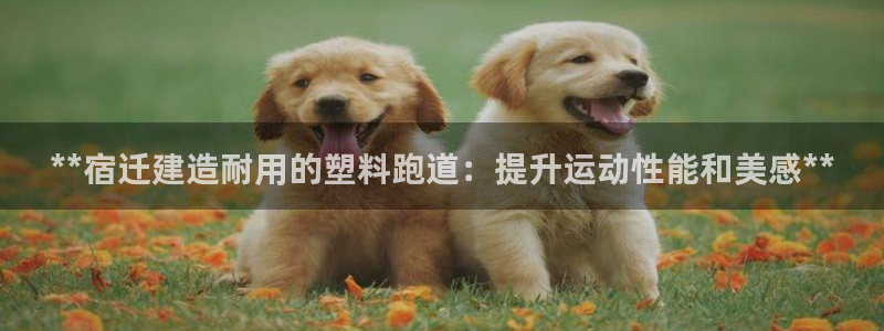红足1世足球网址大全：**宿迁建造耐用的塑料跑道：提升运动性能和美感**