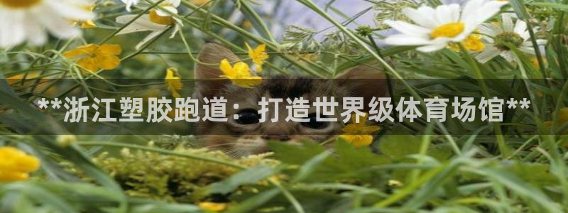 红足 世足球手机网：**浙江塑胶跑道：打造世界级体育场馆**