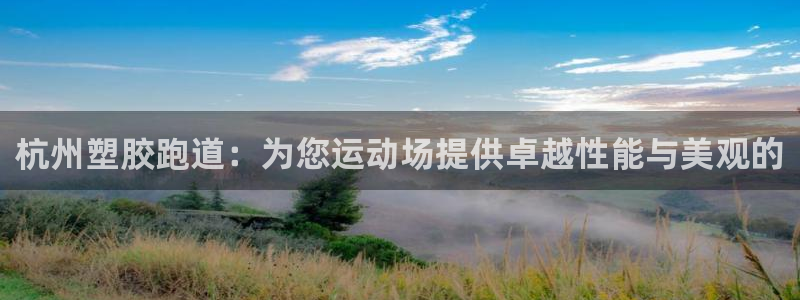 红足1一世 2站：杭州塑胶跑道：为您运动场提供卓越性能与美观的