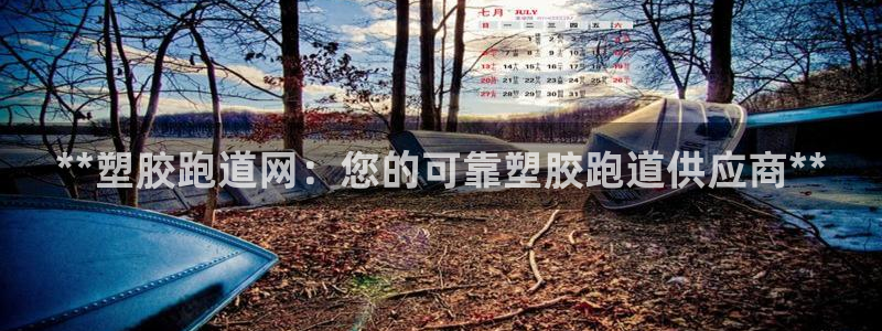 红足一1世666814最新结果：**塑胶跑道网：您的可靠塑胶跑道供应商**