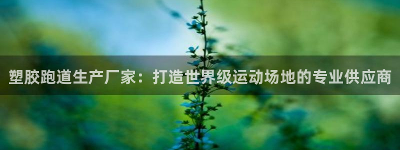 红足一1世皇冠登录：塑胶跑道生产厂家：打造世界级运动场地的专业供应商
