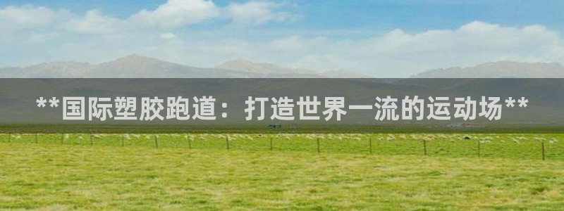 红足体育网：**国际塑胶跑道：打造世界一流的运动场**