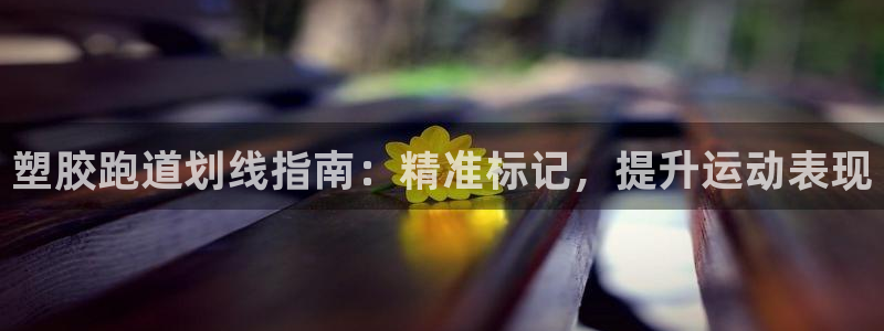 百度红足一1是干什么的：塑胶跑道划线指南：精准标记，提升运动表现