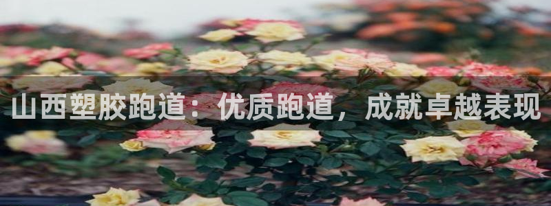 百度红足一1是干什么的：山西塑胶跑道：优质跑道，成就卓越表现