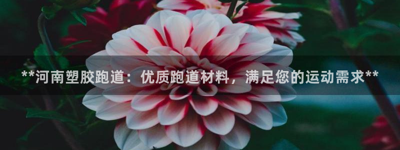 红足一1世比分网：**河南塑胶跑道：优质跑道材料，满足您的运动需求**