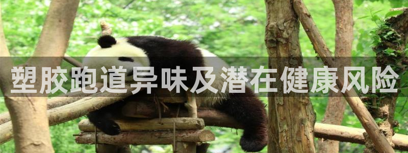 百度红足一1视频在线观看：塑胶跑道异味及潜在健康风险