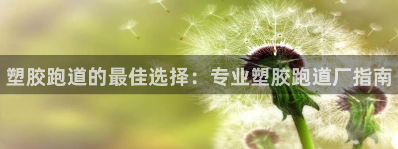红足一一世足球网开奖记录：塑胶跑道的最佳选择：专业塑胶跑道厂指南