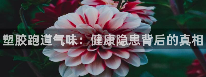新2足球平台出租网站：塑胶跑道气味：健康隐患背后的真相