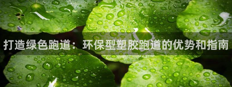 红足1世1站2站管理网：打造绿色跑道：环保型塑胶跑道的优势和指南