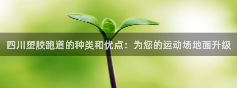 红足一1世比分球探：四川塑胶跑道的种类和优点：为您的运动场地面升级
