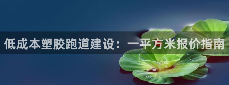 红足一1世皇冠：低成本塑胶跑道建设：一平方米报价指南