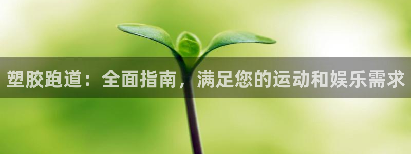 红足1世足球比分预测：塑胶跑道：全面指南，满足您的运动和娱乐需求
