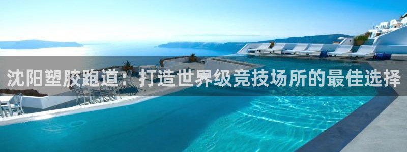 百度红足一1是什么样子的：沈阳塑胶跑道：打造世界级竞技场所的最佳选择